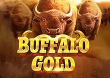 Buffalo Gold