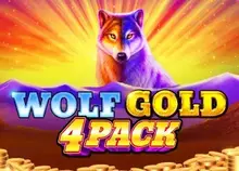 Wolf Gold 4 Pack