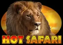 Hot Safari