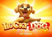 Lucky Dog