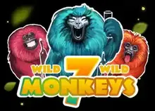7 Monkeys